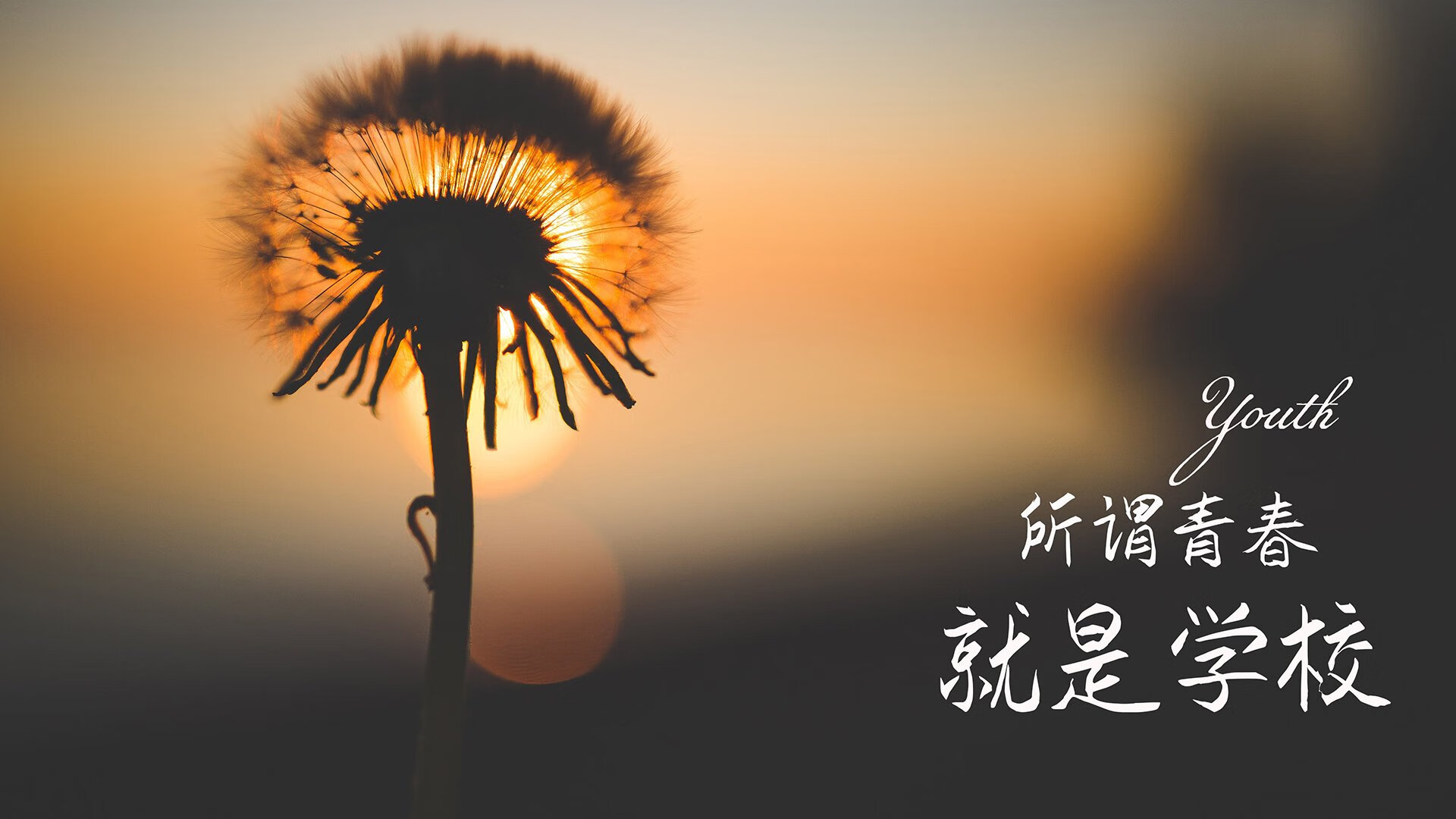 九游（jiuyou.com）游戏-世界体操锦标赛女子团体赛，中国队名列前三，体操世锦赛女团冠军