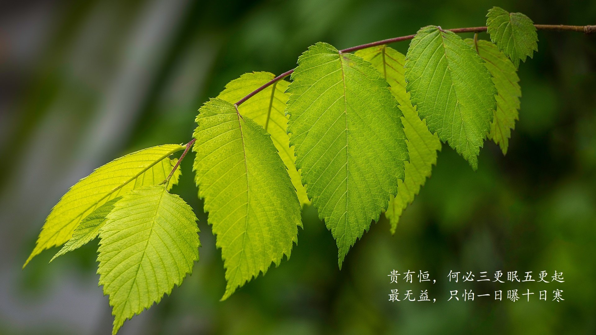 JiuyouAPP下载-争夺欧冠席位：排名激烈变动，谁会出线？，欧冠入选