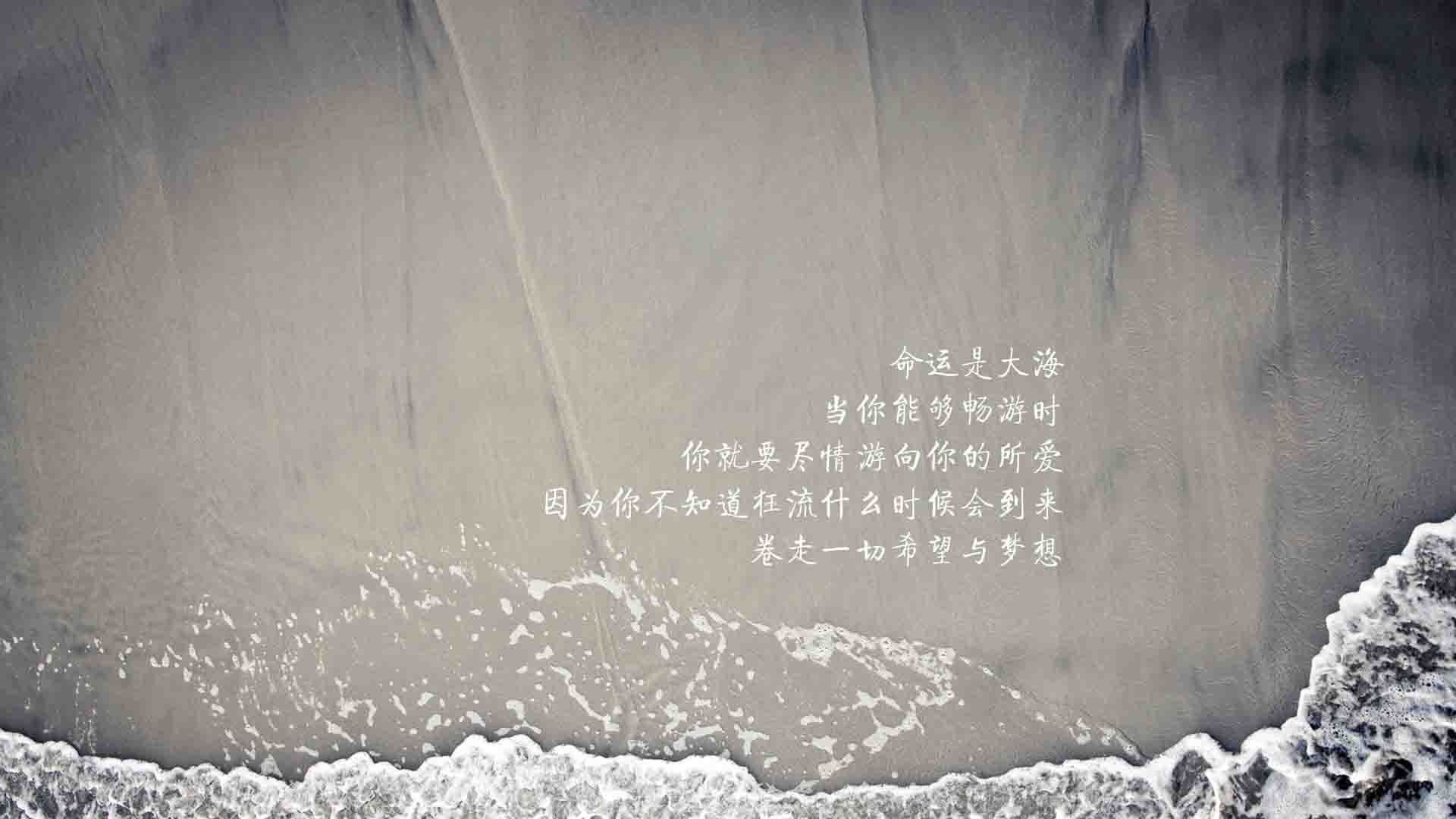 意大利马术协会推出马术运动员健康管理系统，关注运动员身心健康。