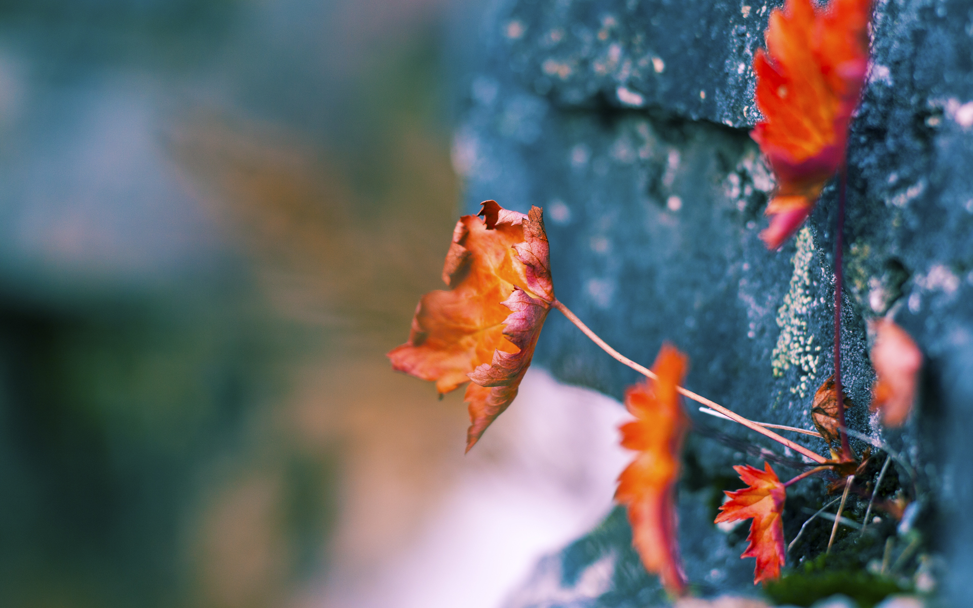 九游网页版官网入口-中国男篮对阵强敌收获经验也暴露不足，中国男篮对阵强敌收获经验也暴露不足的球员