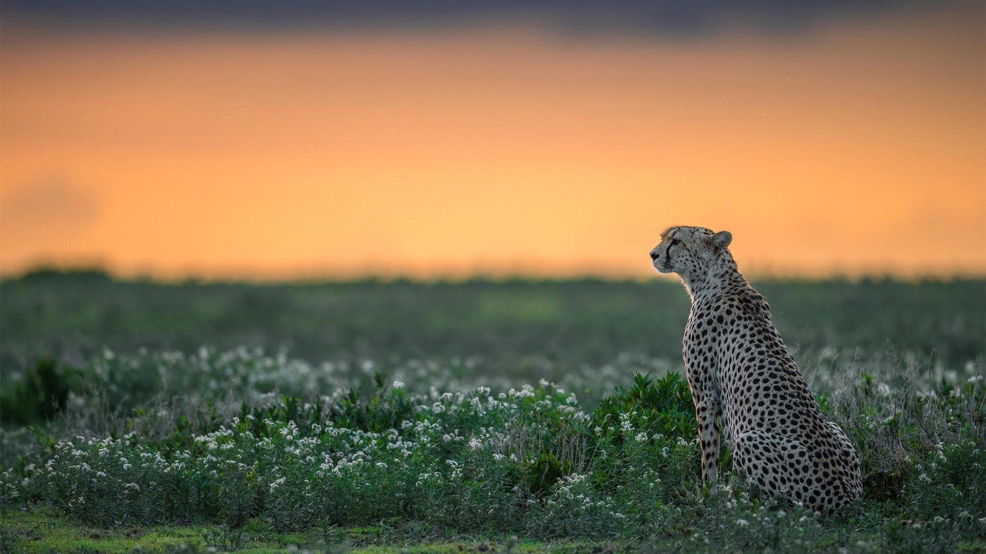 中超联赛中国青年队爆冷 球迷反思青训体系，中超青年csly