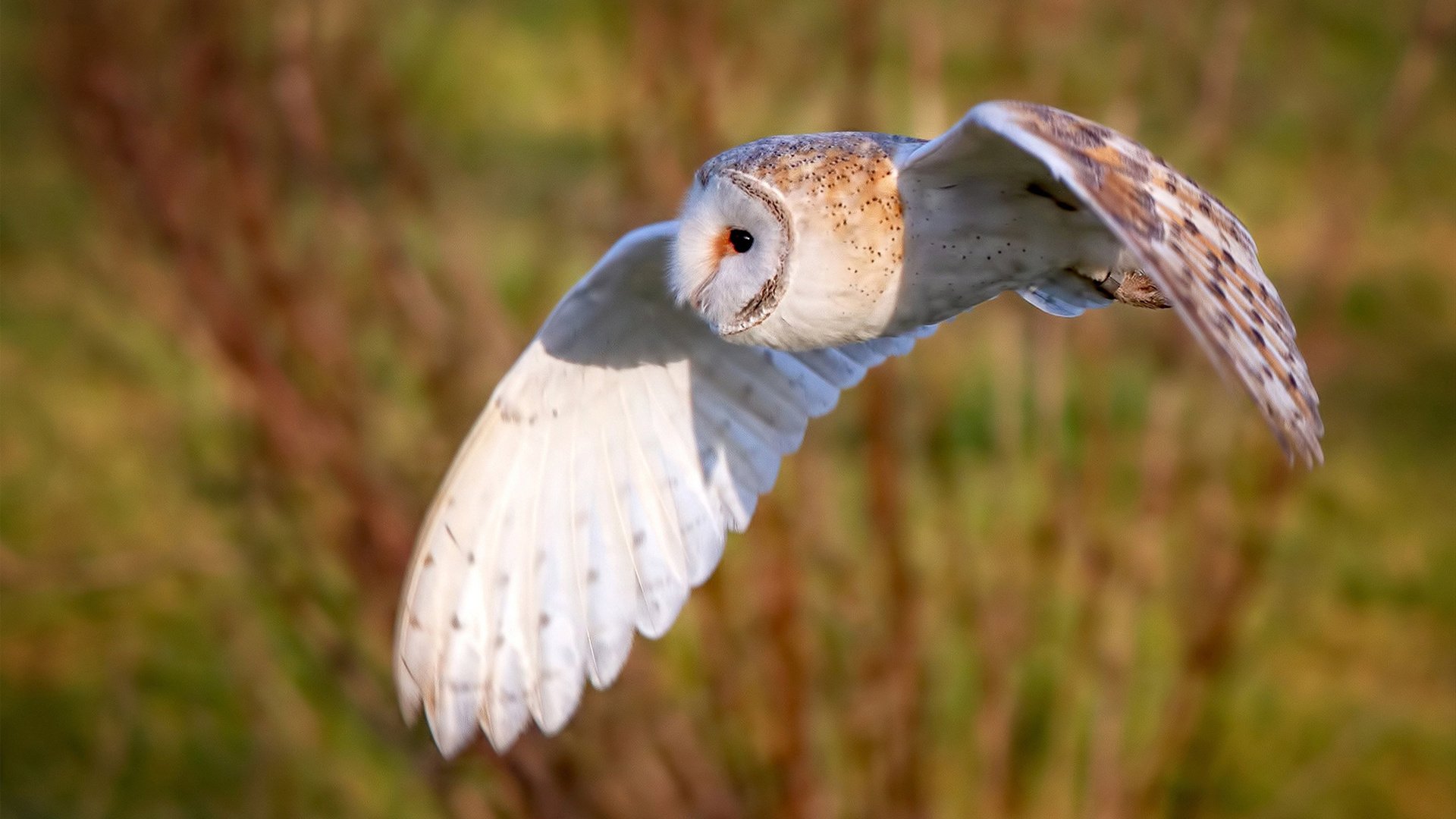 女篮国家队开展专项防守训练提升防守硬度，女生篮球防守