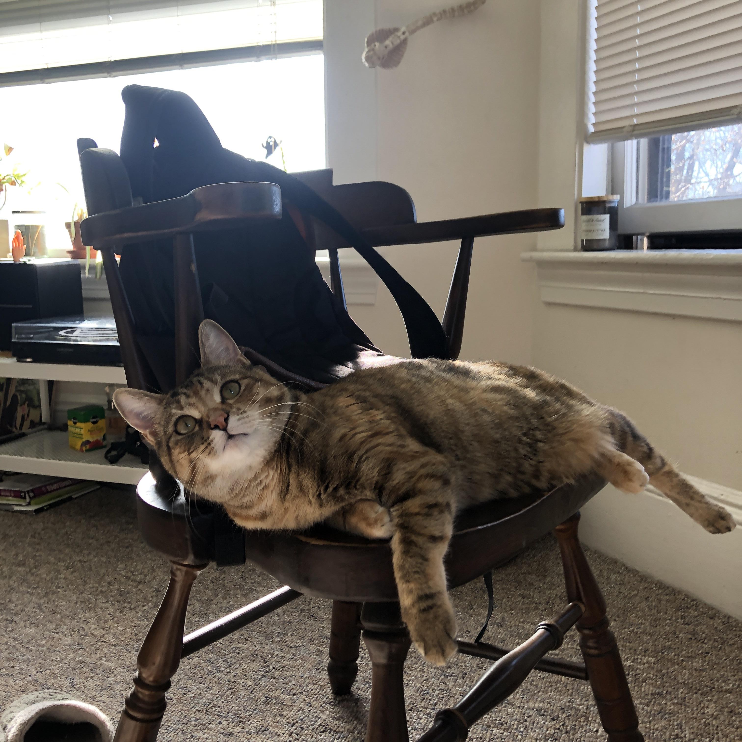 电子竞技职业联赛奖金创新高,电子竞技职业比赛